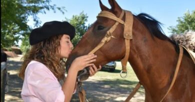 AMOR CABALLO