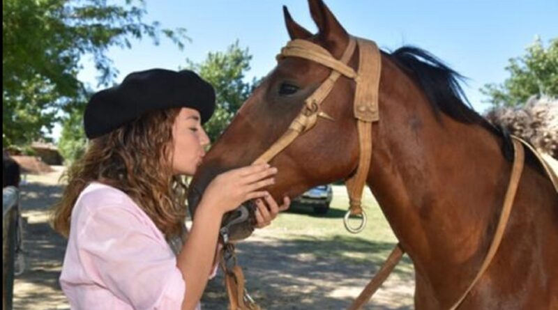 AMOR CABALLO