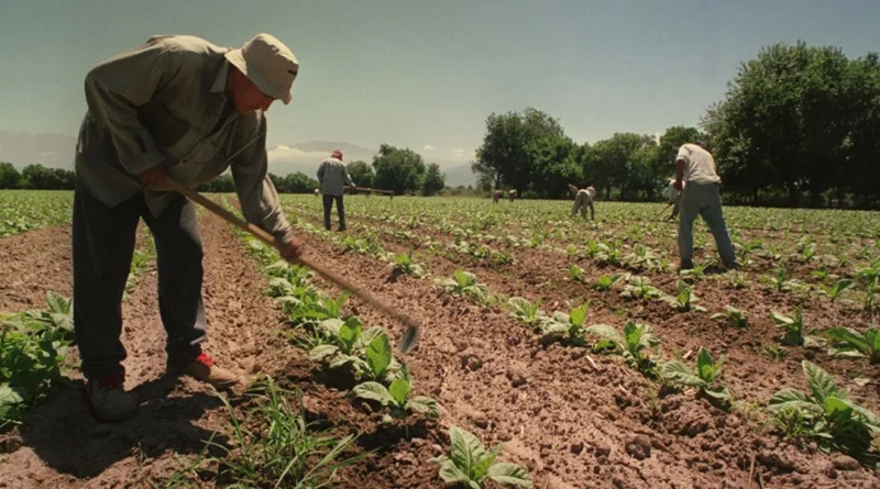 DÍA DEL TRABAJADOR RURAL